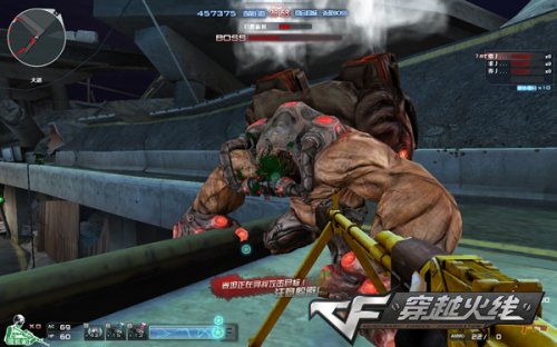 本土球员的 本土球员的