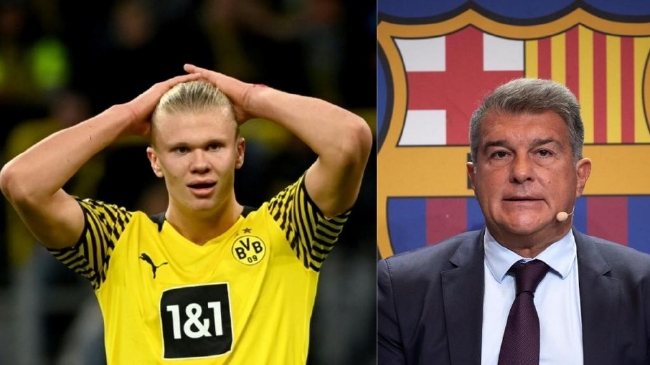 再由强力终 再由强力终